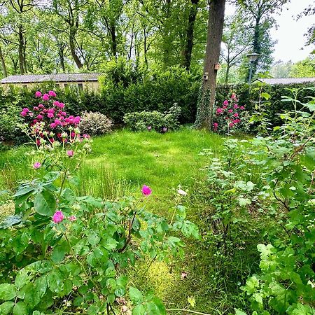 Vakantie Veluwe Wageningen Eksteriør billede