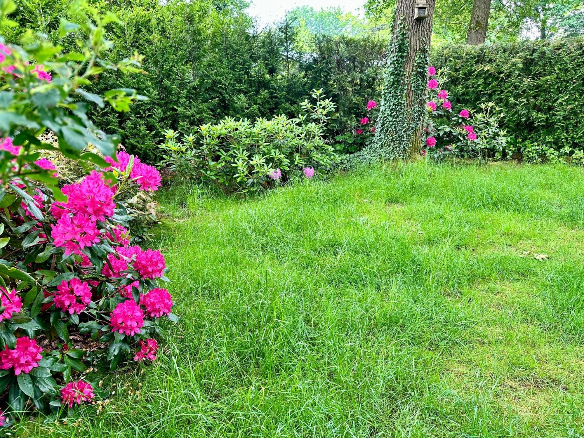 Vakantie Veluwe Wageningen Eksteriør billede